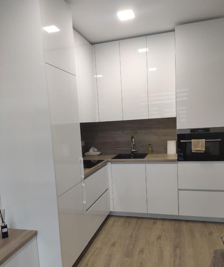 Apartment Ainiai Panevezys Ngoại thất bức ảnh